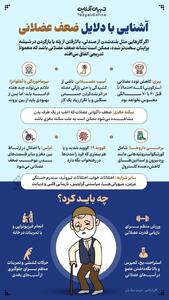 اینفوگرافی/ آشنایی با دلایل ضعف عضلانی | اقتصاد24