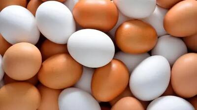 بسته 15 عددی تخم مرغ با چه قیمتی به دستتان می‌رسد؟ + جدول