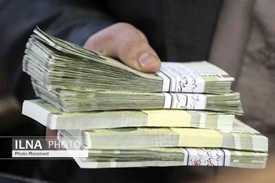 پرداخت وام به کشاورزان با مشکل روبروست؛ بانک ها تسریع نکنند بازرسی به شدت ورود می کند