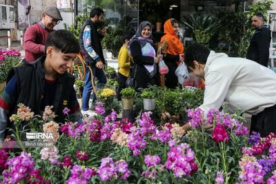 آمادگی پاکدشت برای سرمایه‌گذاری در حوزه گل و گیاه +فیلم