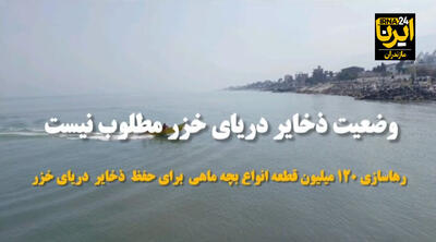 فیلم | مدیرکل شیلات مازندران: وضعیت ذخایر آبزیان دریای خزر مطلوب نیست