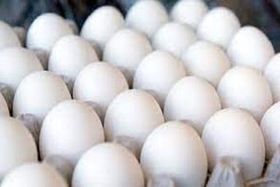 قیمت انواع تخم مرغ دوشنبه ۲۹ اردیبهشت ۱۴۰۴
