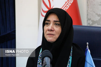 صنایع‌دستی ایران از وجاهت ارزشمندی در دنیا برخوردار است