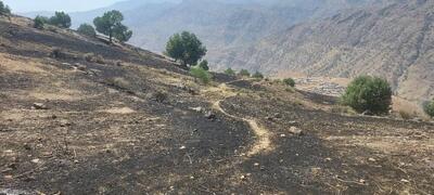 مهار آتش‌سوزی در منطقه حفاظت‌شده سبزکوه 