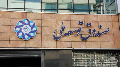 جذب سرمایه‌ در صنعت برق با پشتوانه صندوق توسعه ملی