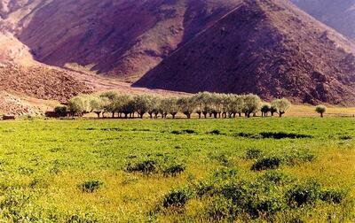 جاذبه های گردشگری دشت هویج افجه لواسان؛ ییلاقی خوش آب و هوا در ارتفاعات تهران | رویداد24