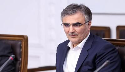 صندوق توسعه ملی باید سهامدار بانک‌های توسعه‌ای شود