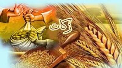 هشترودی هادر سال گذشته بیش از ۸.۵ میلیارد تومان زکات پرداخت کردند
