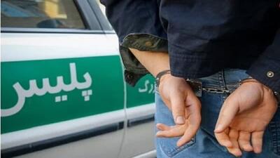 زمینگیر شدن شرور سارق سابقه دار در محمودآباد