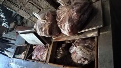 کشف ۳۰۰ کیلوگرم گوشت گراز در سوادکوه