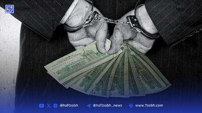 دنیای تاریک سامانه شفافیت | مبارزه با فساد، فقط با سامانه نیست