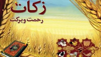 ۷۴۲ روستای زنجان زکات می‌دهند