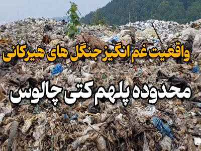 تصاویر غم‌انگیز از جنگل‌های شمال