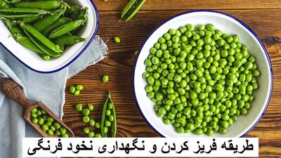 بهترین طریقه فریز کردن و نگهداری نخود فرنگی خام + مدت زمان نگهداری نخود فرنگی در فریزر