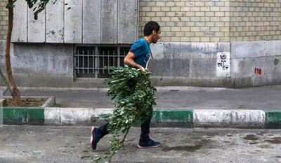 افزایش ناپایداری‌های جوی در تهران از هفته آینده
