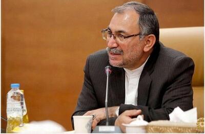 نماینده مجلس:  اگر میاندشت نادیده گرفته شود، یکی از آخرین زیستگاه‌های یوز ایرانی به تاریخ می‌پیوندد