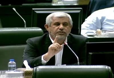 عضو کمیسیون امنیت ملی مجلس: دنیا بداند ملت ایران جان خود و تمام هستی شان را فدای سپاه پاسداران  می کنند