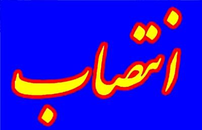 شِنو محمدی شهردار این شهر مرزی شد