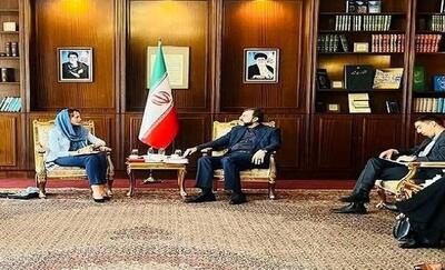 دیدار غریب‌آبادی با گزارشگر ویژه سازمان ملل