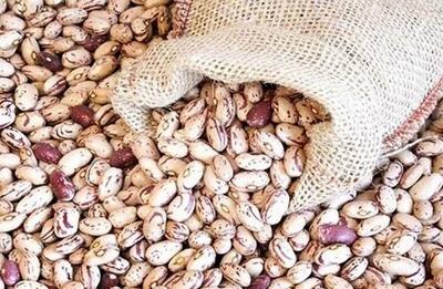 قیمت لوبیا هم‌قیمت گوشت | قیمت نیم میلیونی لوبیا  ارزان می شود؟