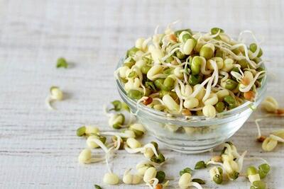 جوانه ماش؛ بمب ویتامین و پروتئین | طرز تهیه جوانه ماش در خانه
