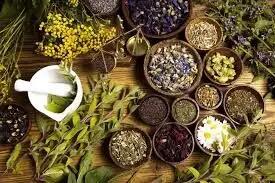 به هیچوجه گیاهان دارویی را به‌صورت پودر تهیه نکنید !