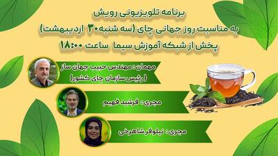 رویش؛ میزبان رئیس سازمان چای کشور در روز جهانی چای/ از کشت تا مصرف، چالش‌های صنعت چای ایران