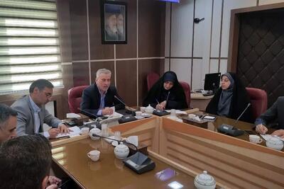 برپایی همایش پیاده‌روی بزرگ در قزوین با هدف ارتقای نشاط اجتماعی