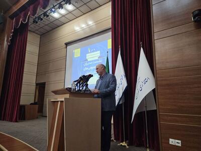 ۸۰ درصد آسیب‌های اجتماعی کشور در استان تهران/ تشکیل شورای اجتماعی استان بعد از ۲ سال وقفه