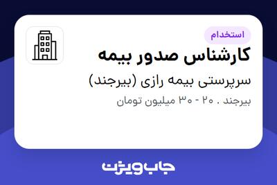 استخدام کارشناس صدور بیمه - آقا در سرپرستی بیمه رازی (بیرجند)