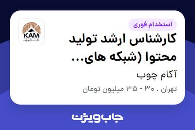 استخدام کارشناس ارشد تولید محتوا (شبکه های اجتماعی) در آکام چوب