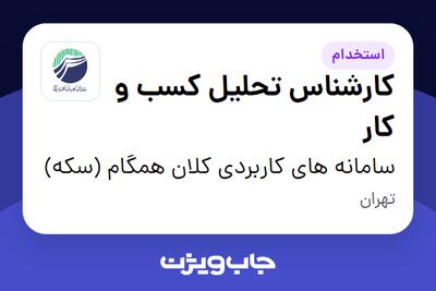 استخدام کارشناس تحلیل کسب و کار - آقا در سامانه های کاربردی کلان همگام (سکه)