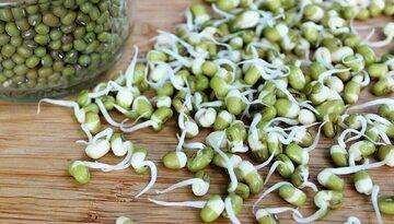 بمب ویتامین و پروتئین را بشناسید