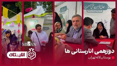 دورهمی انارستانی‌ها به بوستان لاله تهران رسید
