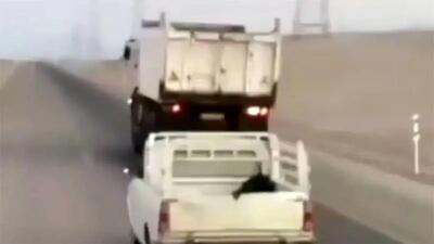 نشستن یک خانم بر روی کاپوت پیکان وانت در اتوبان! + فیلم