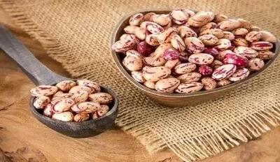 ثبت سفارش لوبیا کلید زده شد | قیمت لوبیا کاهش می‌یابد؟