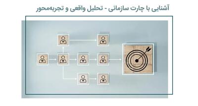 چارت سازمانی چیست و چرا نقش حیاتی در موفقیت کسب‌وکار دارد؟ تحلیل واقعی و تجربه‌محور