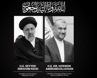 تجسم پیوند میدان و دیپلماسی عزتمند - تسنیم