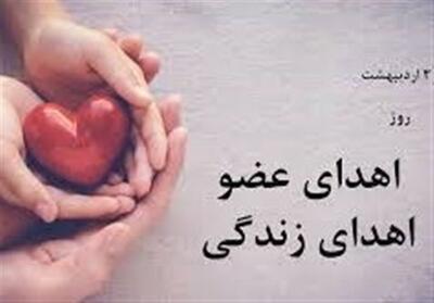 تأمین رضایت خانواده‌های بیمار مرگ مغزی نیازمند فرهنگسازی است - تسنیم