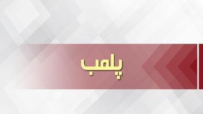 پلمب ۴ کارگاه غیرمجاز تولید خوراک دام و طیور در مرند