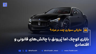‌بازاری کوچک اما پُررونق با چالش‌های قانونی و اقتصادی