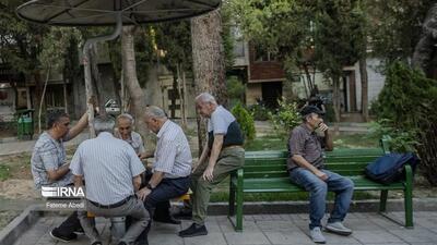 میانگین سالمندی در استان مرکزی ۱۵ درصد است