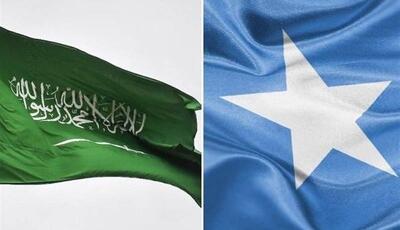 تصویب توافقنامه امنیتی عربستان - سومالی