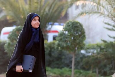 خانم وزیر! پس چه شده اسناد پرداخت هزینه های سفر خانوادگی؟!
