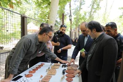 روز جهانی تنوع زیستی؛ روزی برای آگاهی از موضوعات تنوع زیستی