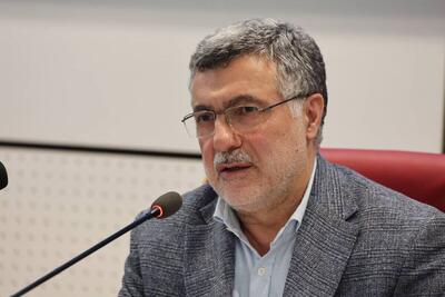 ظفرقندی خواستار اصلاح مفاد توافق‌نامه پاندمی در شرایط همه‌گیری بیماری‌ها شد