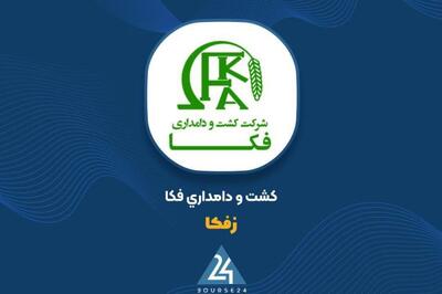 افزایش 43 درصدی سود خالص «زفکا» در سال 1403