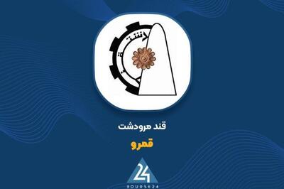 نگاهی به صورت مالی 9 ماهه «قمرو»