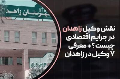 7 تا از بهترین وکیل زاهدان + نقش وکلا در جرایم اقتصادی