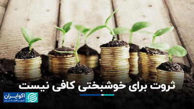 ثروت برای خوشبختی کافی نیست